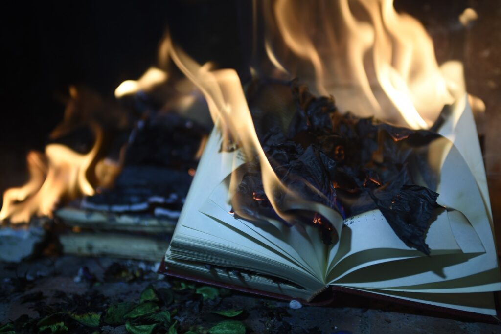 Book Burning by Rafael Juárez from Pixabay
