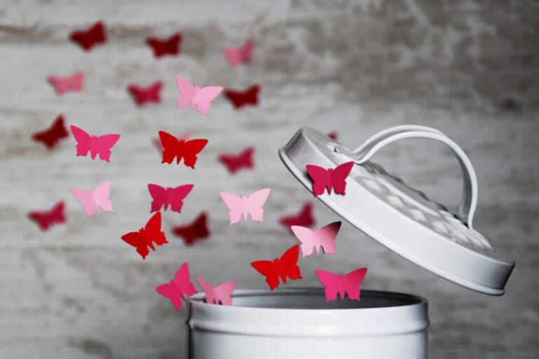 Butterfly by Michaela at home in Germany from Pixabay