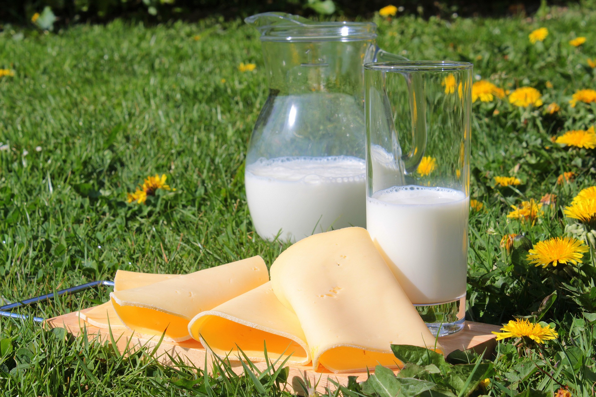 Milk & Cheese by Myriams-Fotos from Pixabay