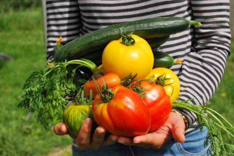 Vegetables by jf-gabnor from Pixabay